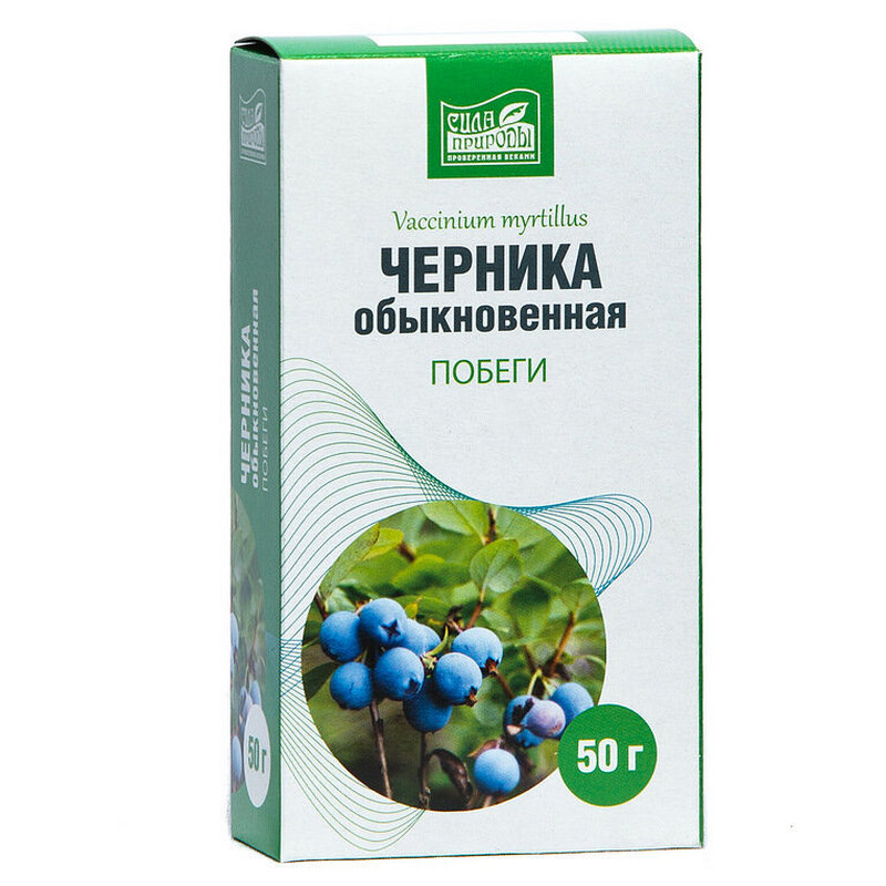 Черника обыкновенная побеги 50г фармгрупп. Побеги черники обыкновенной. Черника обыкновенная побеги, 50 гр (хорст). Черника побеги. Хорст побеги черника обыкновенная 50 г.